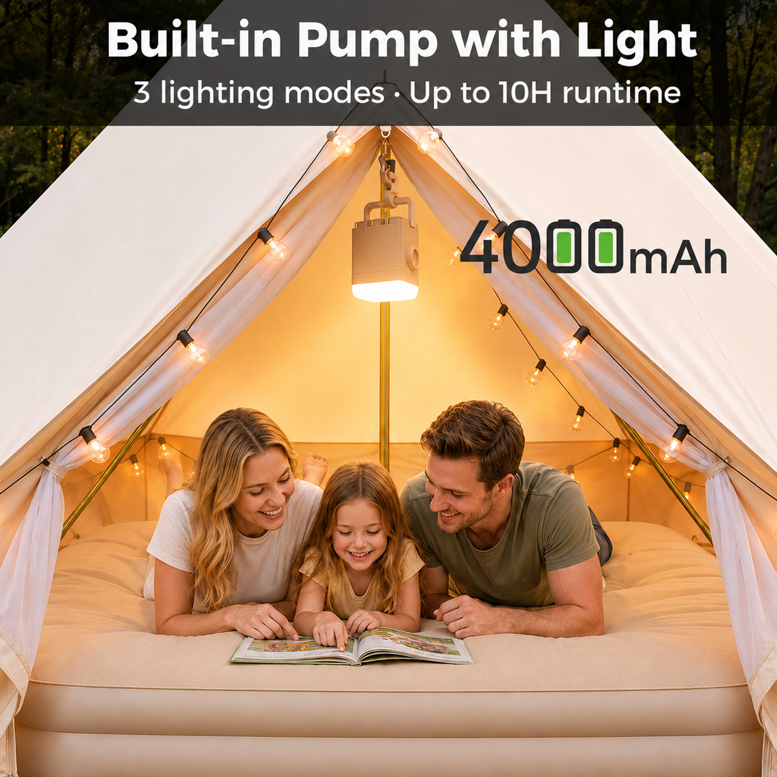 新11